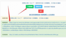 b站视频解析下载,轻松获取心仪视频的独家攻略
