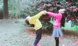 校园春色在线视频,在线视频捕捉青春活力瞬间